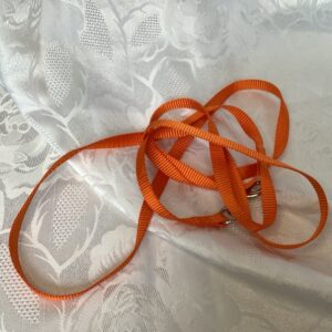 Laisse 2m pour petit chien Ani.c1