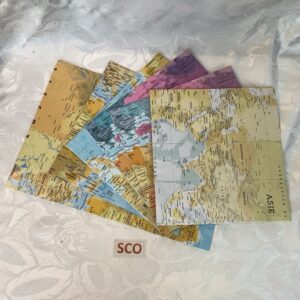 Cartes du monde planisphère à choisir sco.in