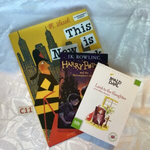 Lot de livres en langue anglaise liv.c11