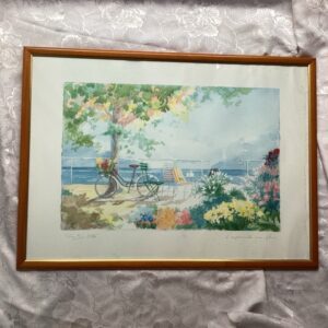 Aquarelle velo 53,5/73