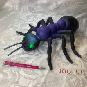 Grande fourmie jou.c7