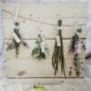 Tableau d’ herbes aromatiques dec.c6