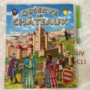 Observe les châteaux len.c1
