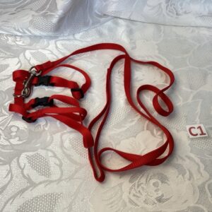 Laisse et harnais chat rouge Ani.c1
