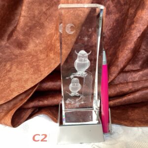 Grand bloc cristal hiboux lumière HS dec.c2